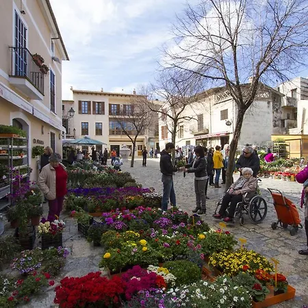 Hotel Mon Boutique Pollensa