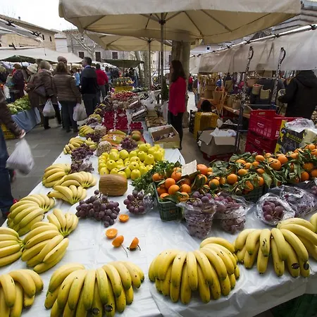 Mon Boutique 4* Pollença