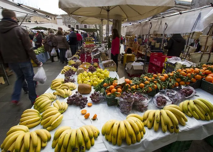 Mon Boutique 4* Pollença